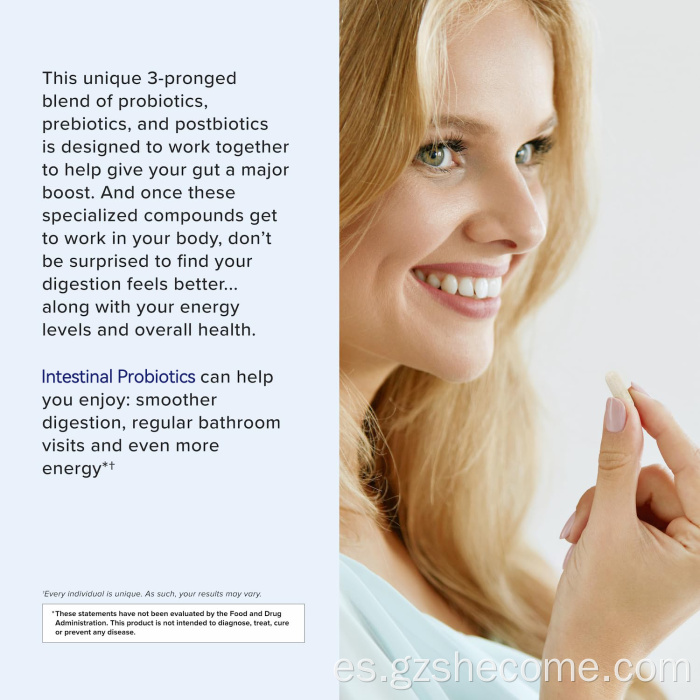 Suplemento de probióticos de prebióticos avanzados de apoyo intestinal